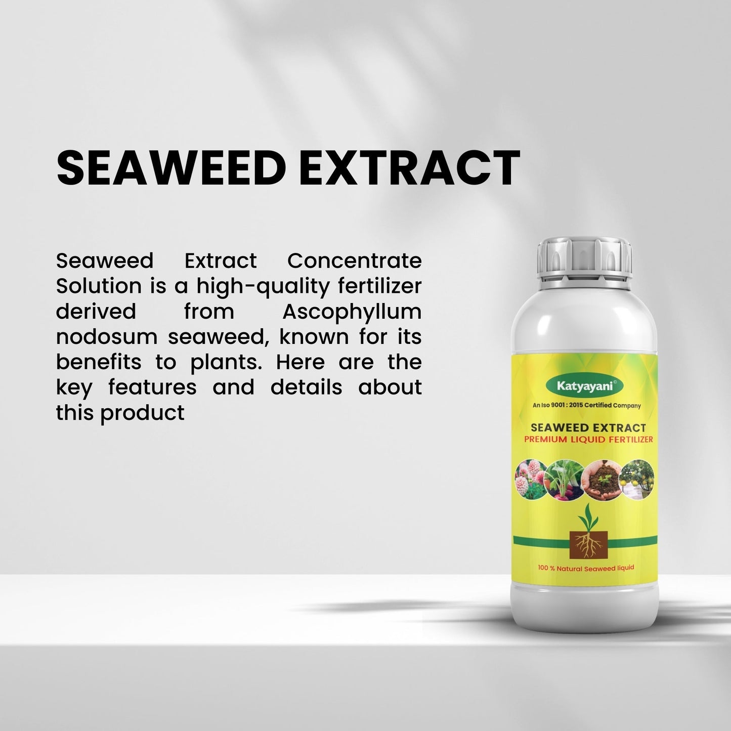 GGV Organic Liquid Seaweed Fertilizer Green Garden Vibes Canada