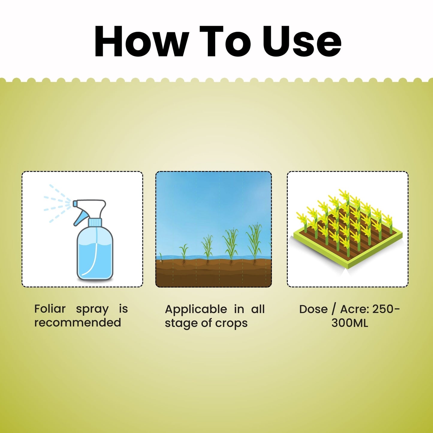 GGV Organic Liquid Seaweed Fertilizer Green Garden Vibes Canada