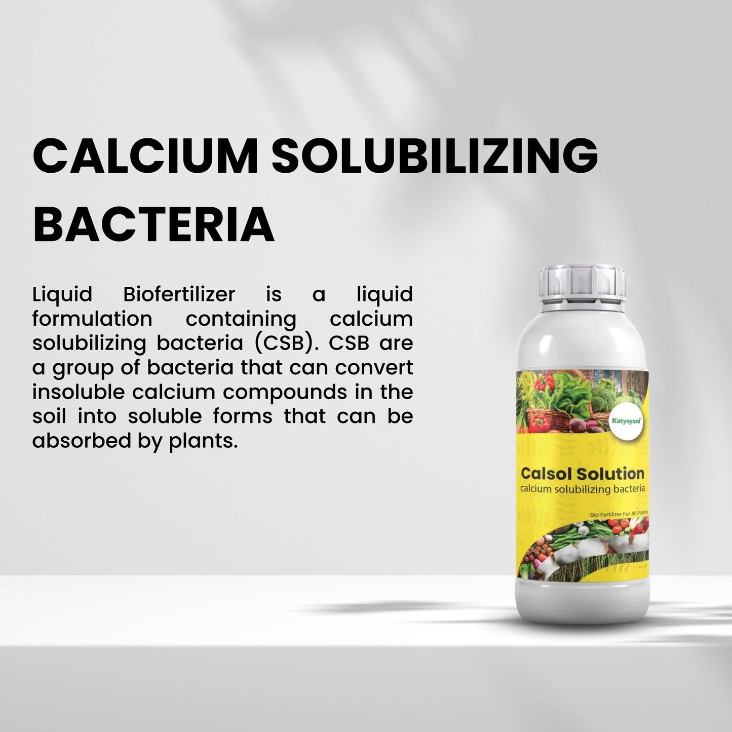 GGV Calcium Solubilizing Bacteria Bio Fertiliser Green Garden Vibes Canada