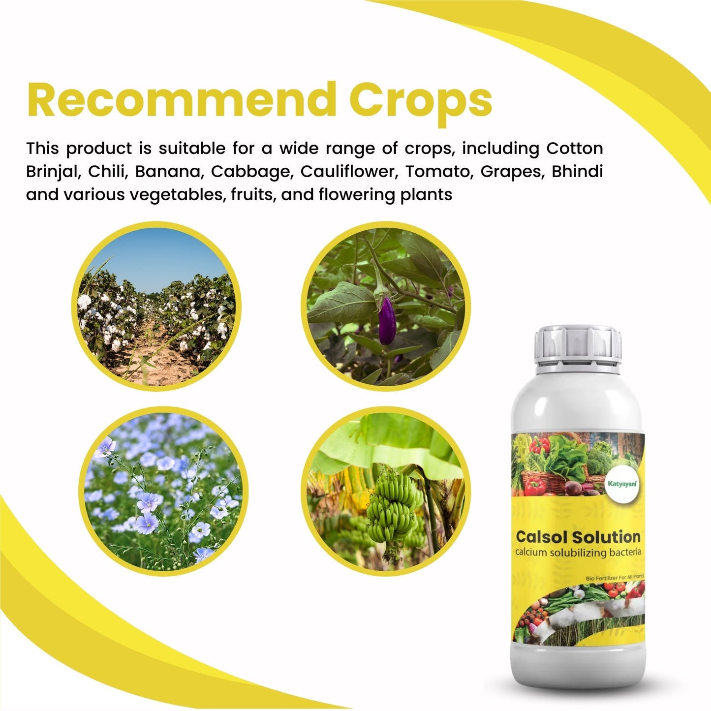 GGV Calcium Solubilizing Bacteria Bio Fertiliser Green Garden Vibes Canada