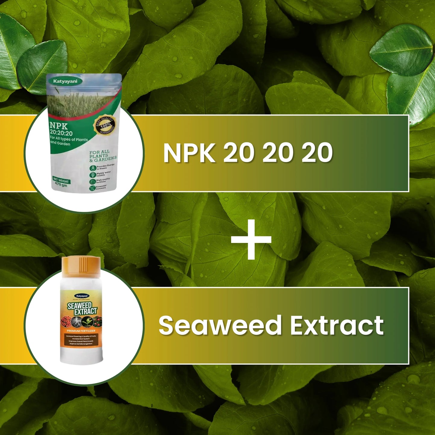 Green garden vibes 20 20 20 fertilizer and seaweed extract
Best quality 20 20 20 fertilizer and seaweed extract