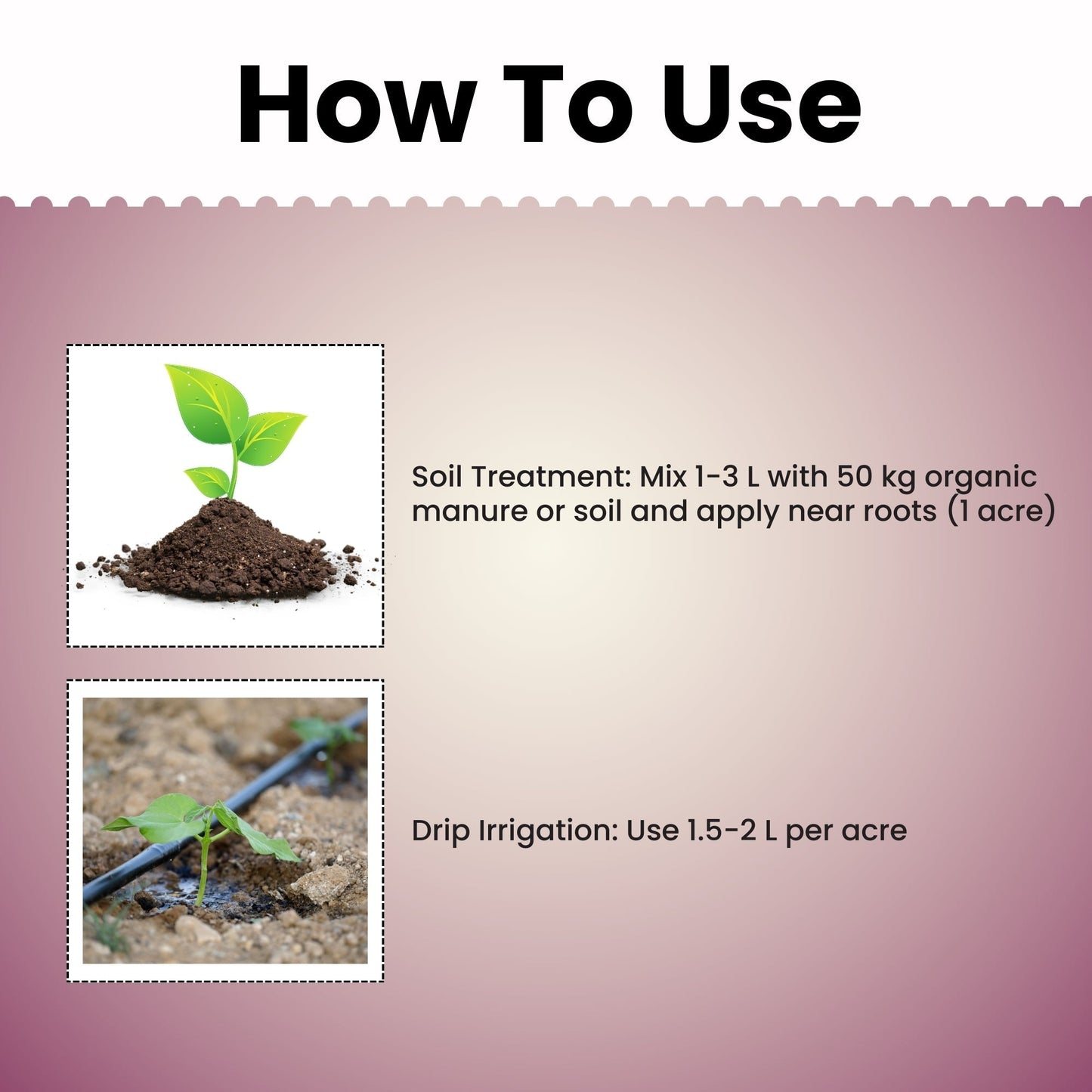 GGV Nitrogen Rhizobium Fixing Fertilizer Green Garden Vibes Canada