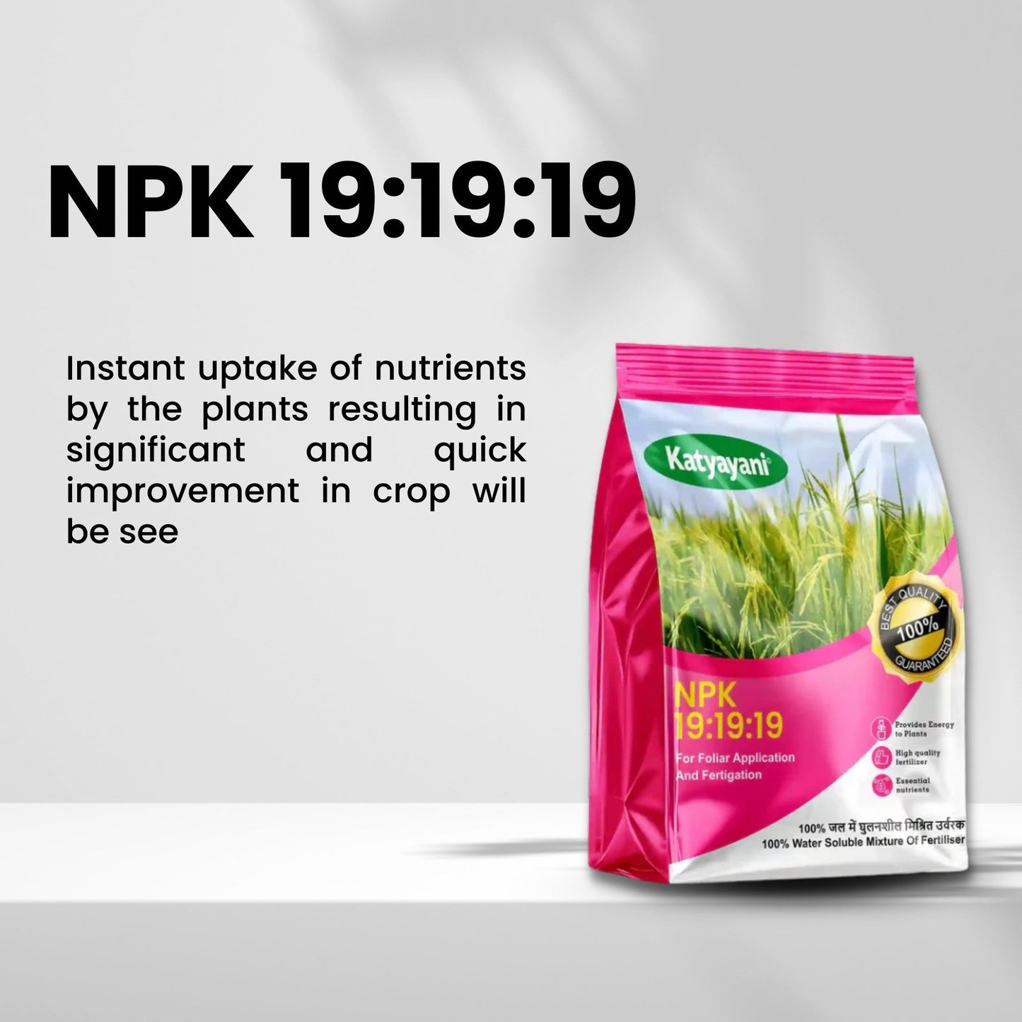 NPK 19-19-19 Water Soluble Fertilizer | Balanced Nutrient Support for Home & Garden Green Garden Vibes Canada