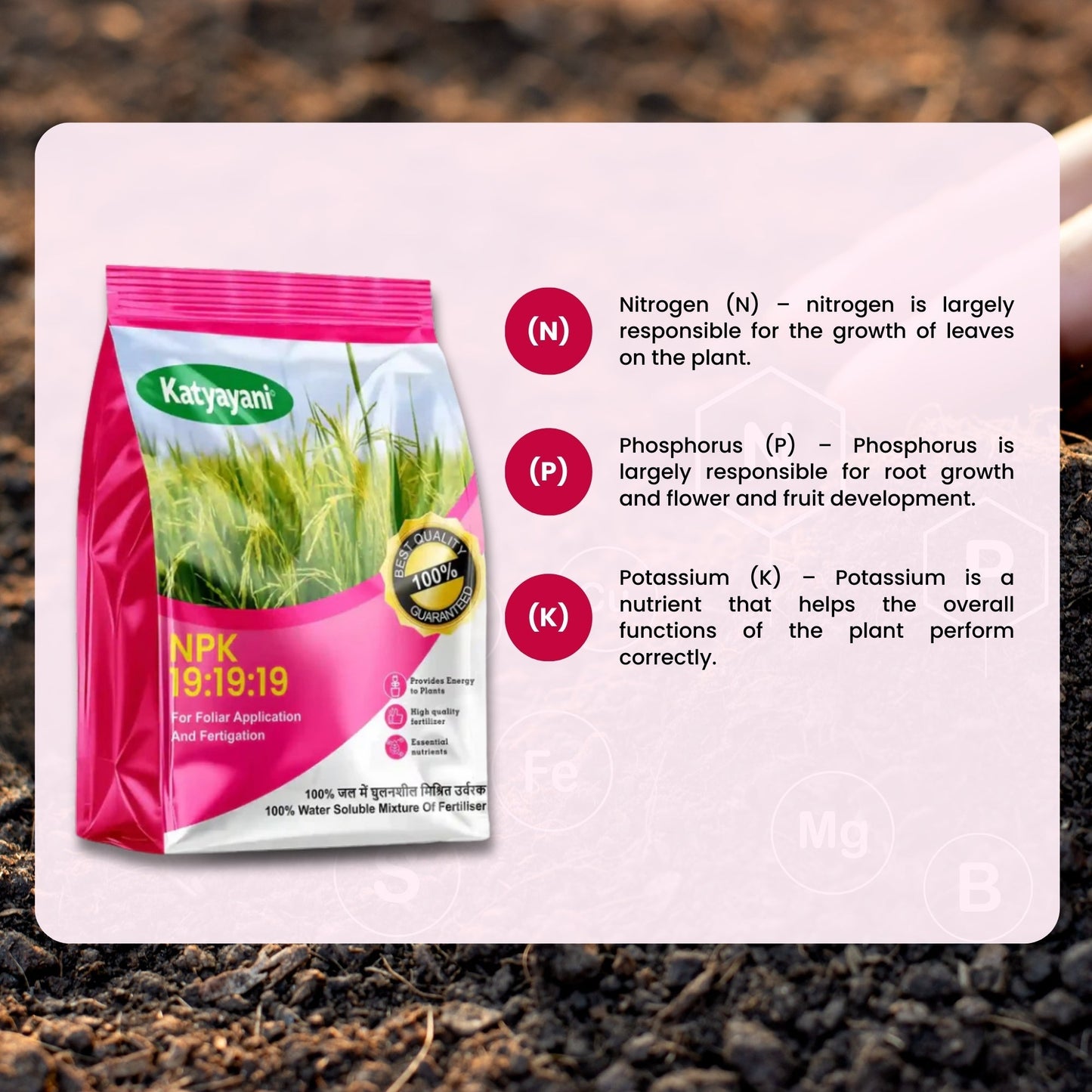 NPK 19-19-19 Water Soluble Fertilizer | Balanced Nutrient Support for Home & Garden Green Garden Vibes Canada