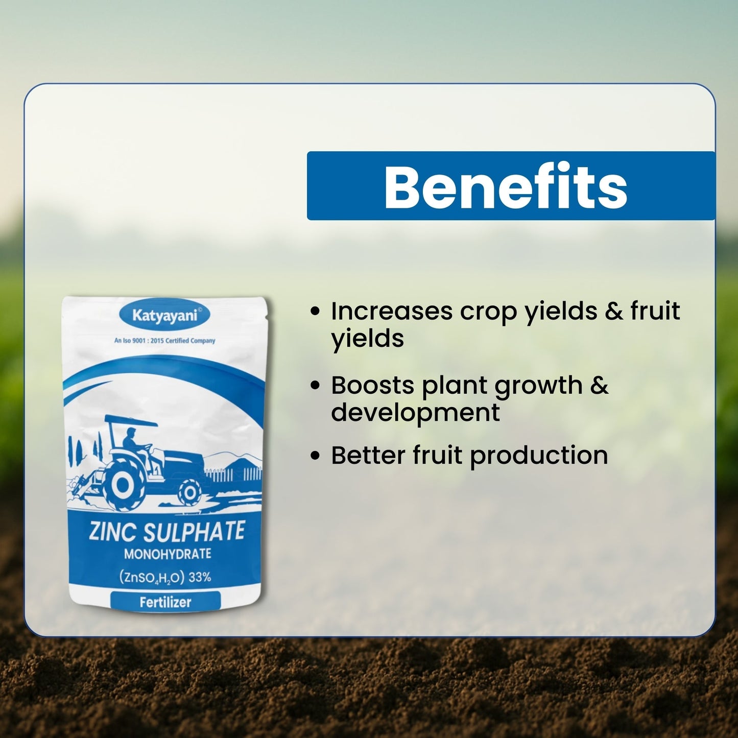 GGV Zinc Sulphate 33% Fertilizer 5 Kg | Essential Nutrient for Plant Growth Green Garden Vibes Canada