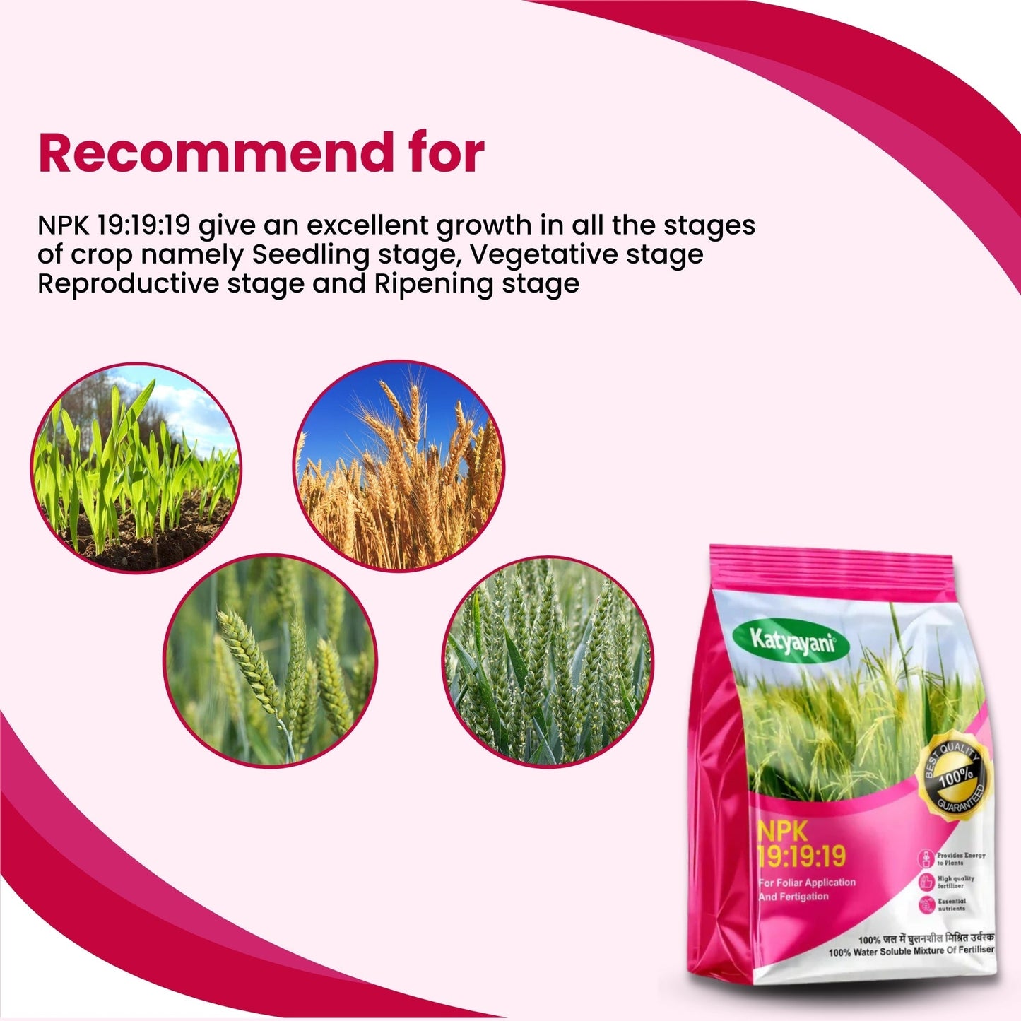 NPK 19-19-19 Water Soluble Fertilizer | Balanced Nutrient Support for Home & Garden Green Garden Vibes Canada