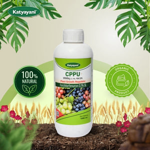 GGV CPPU (Forchlorfenuron 0.1%) – Buy 1, Get 2 Free | Premium Plant Growth Regulator for Bigger, Healthier Fruits Green Garden Vibes Canada