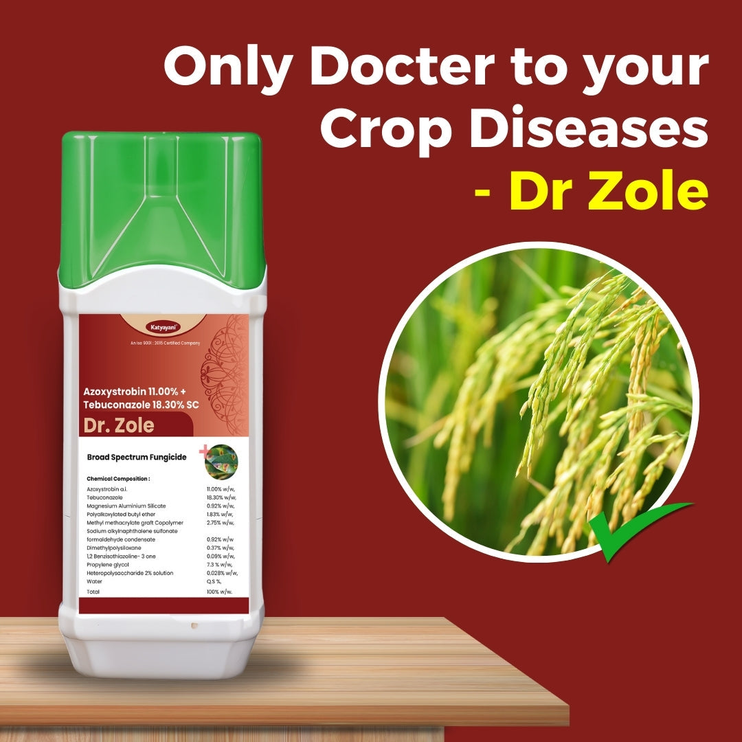 Katyayani Dr. Zole | Advanced Dual-Action Crop Care Solution (Azoxystrobin 11% + Tebuconazole 18.3% SC) Green Garden Vibes Canada