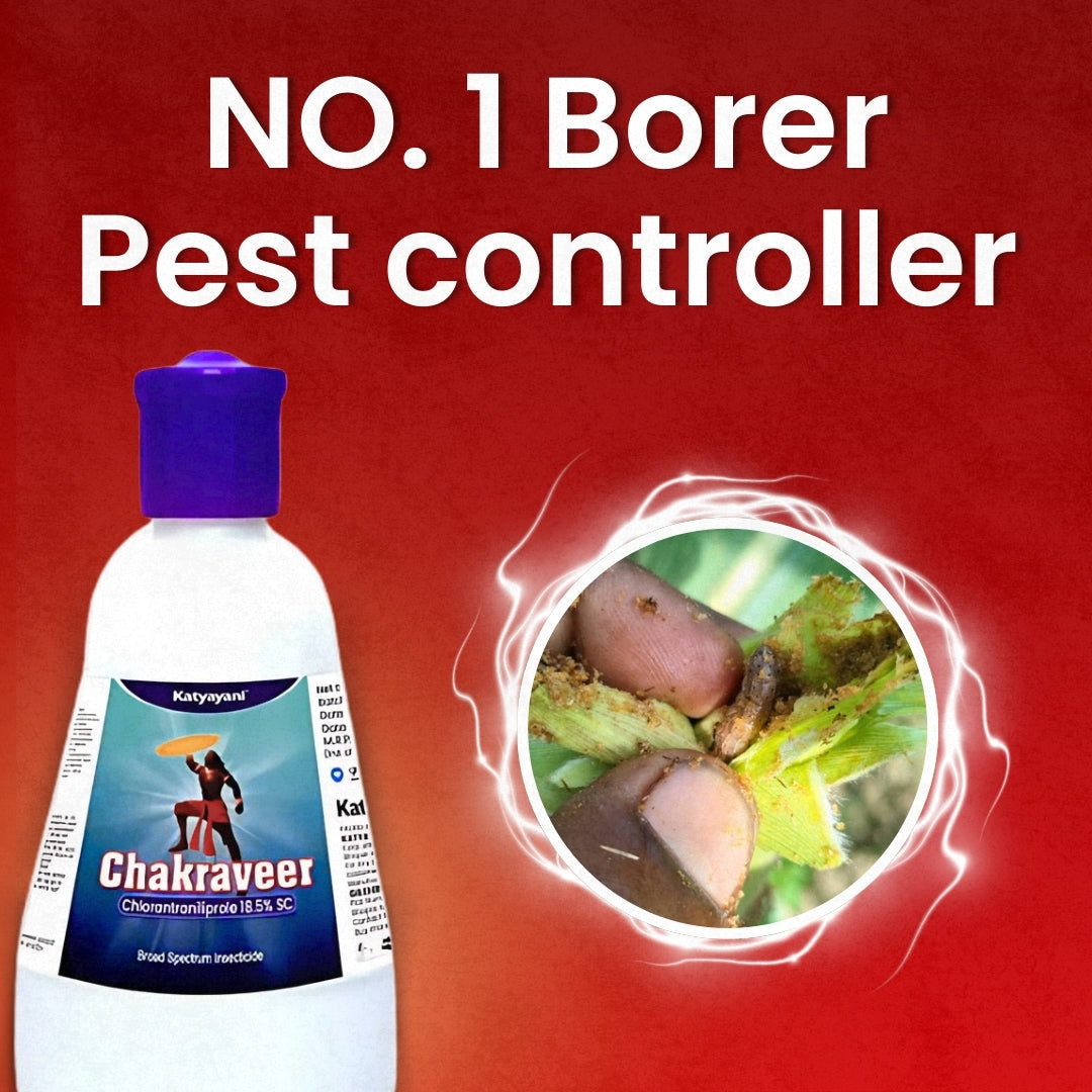 π± GGV Katyayani Chakraveer β Buy 1, Get 2 Free | Broad-Spectrum Crop Care Solution (Chlorantraniliprole 18.5% SC) Green Garden Vibes Canada