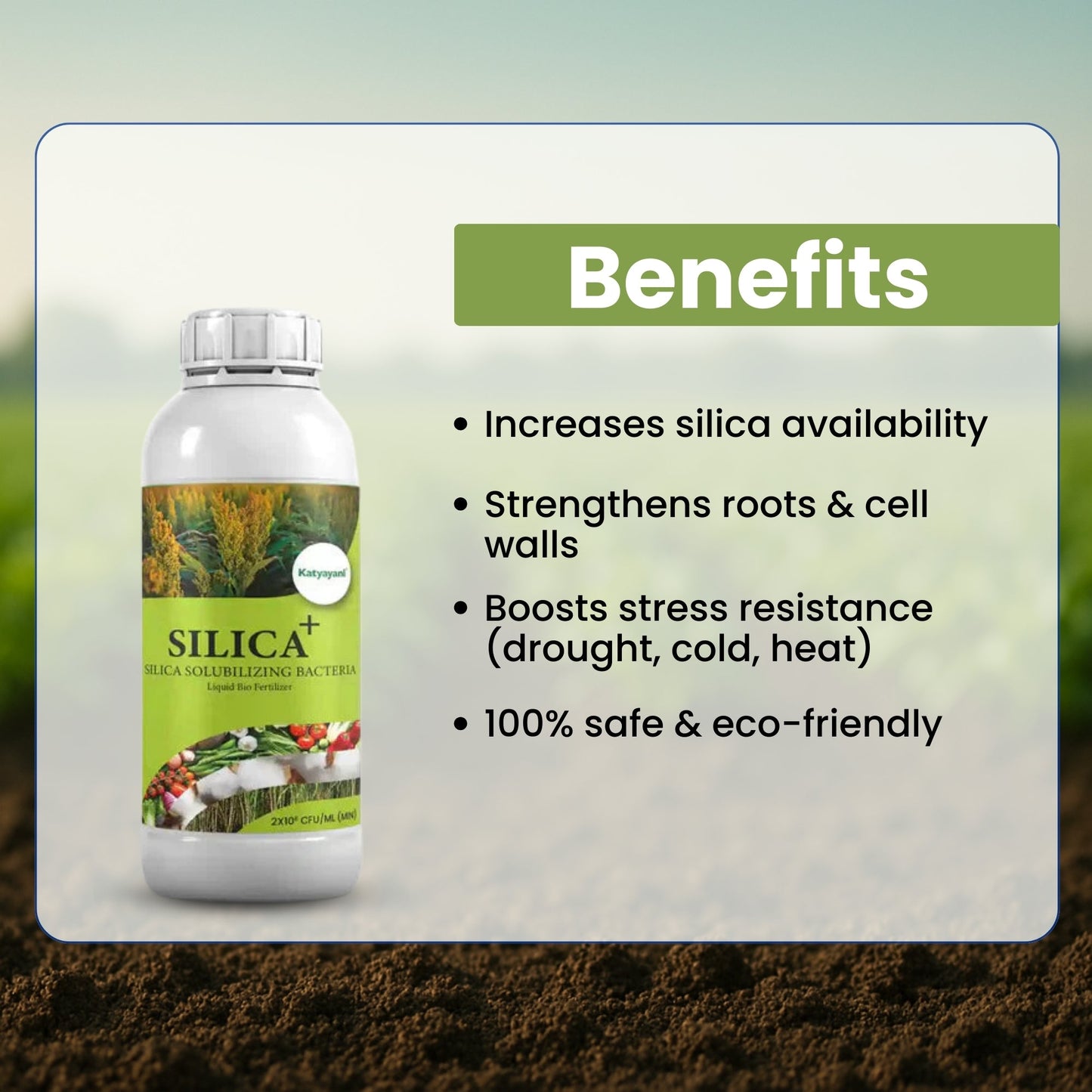 πΏ Buy 1, Get 2 Free β GGV SILICA+ | Bio-Fertilizer for Stronger Stems & Stress Tolerance Green Garden Vibes Canada