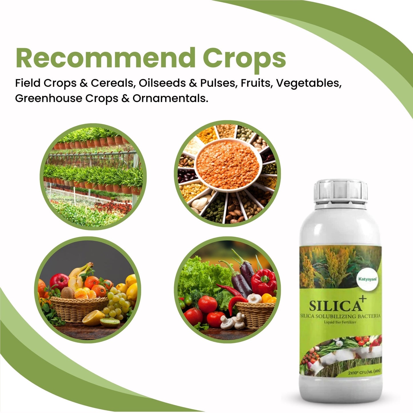πΏ Buy 1, Get 2 Free β GGV SILICA+ | Bio-Fertilizer for Stronger Stems & Stress Tolerance Green Garden Vibes Canada