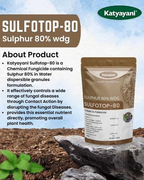 GGV Katyayani Sulfotop 80 Super Saver Pack β Buy 1, Get 2 Free | Sulphur 80% WDG for Fungus & Mite Control Green Garden Vibes Canada
