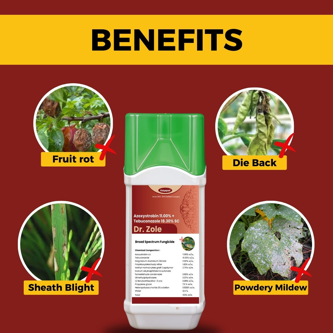 Katyayani Dr. Zole | Advanced Dual-Action Crop Care Solution (Azoxystrobin 11% + Tebuconazole 18.3% SC) Green Garden Vibes Canada