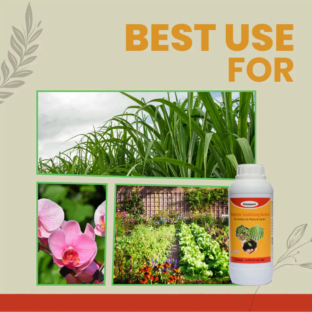 GGV Phosphate Solubilizing Bacteria Bio fertilizer Green Garden Vibes Canada
