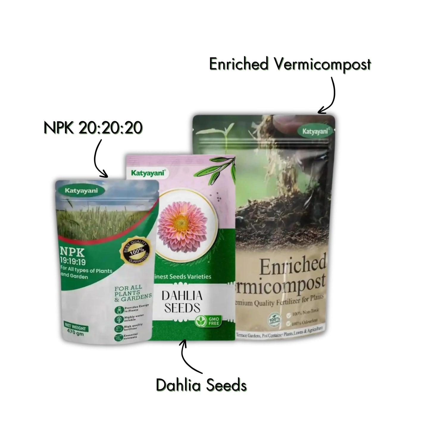 GGV Dahlia Grow It Yourself Kit Green Garden Vibes Canada