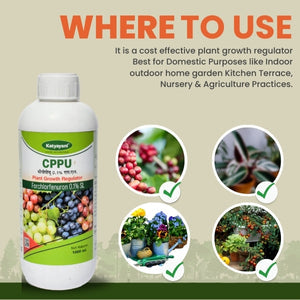 GGV CPPU (Forchlorfenuron 0.1%) – Buy 1, Get 2 Free | Premium Plant Growth Regulator for Bigger, Healthier Fruits Green Garden Vibes Canada