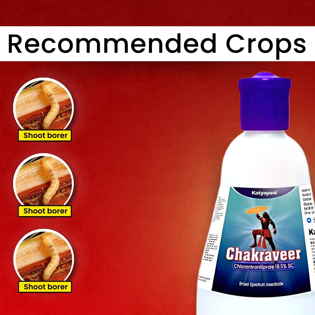 π± GGV Katyayani Chakraveer β Buy 1, Get 2 Free | Broad-Spectrum Crop Care Solution (Chlorantraniliprole 18.5% SC) Green Garden Vibes Canada
