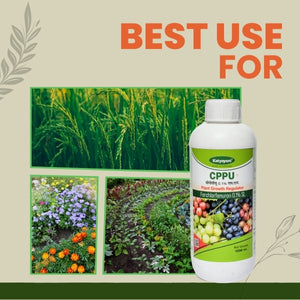 GGV CPPU (Forchlorfenuron 0.1%) – Buy 1, Get 2 Free | Premium Plant Growth Regulator for Bigger, Healthier Fruits Green Garden Vibes Canada