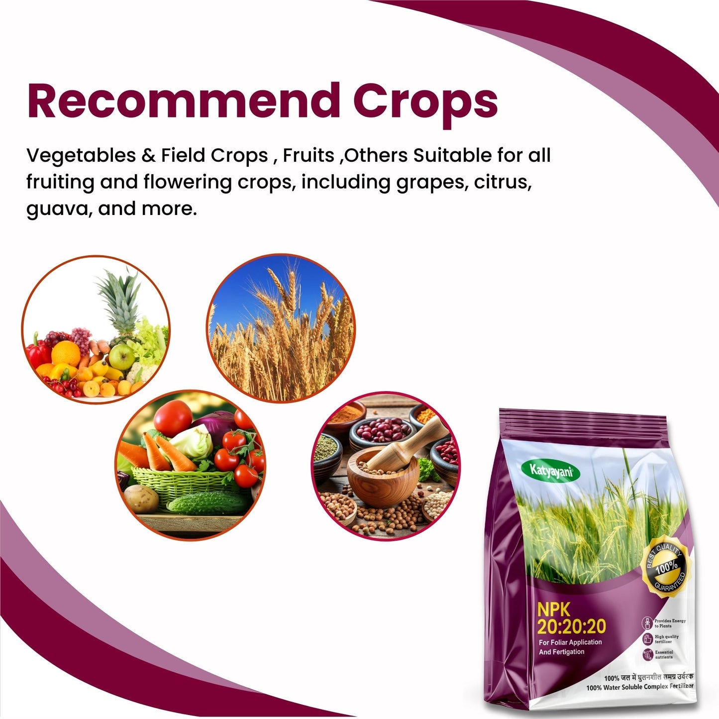 GGV NPK 20 20 20 fertiliser for plants Green Garden Vibes Canada