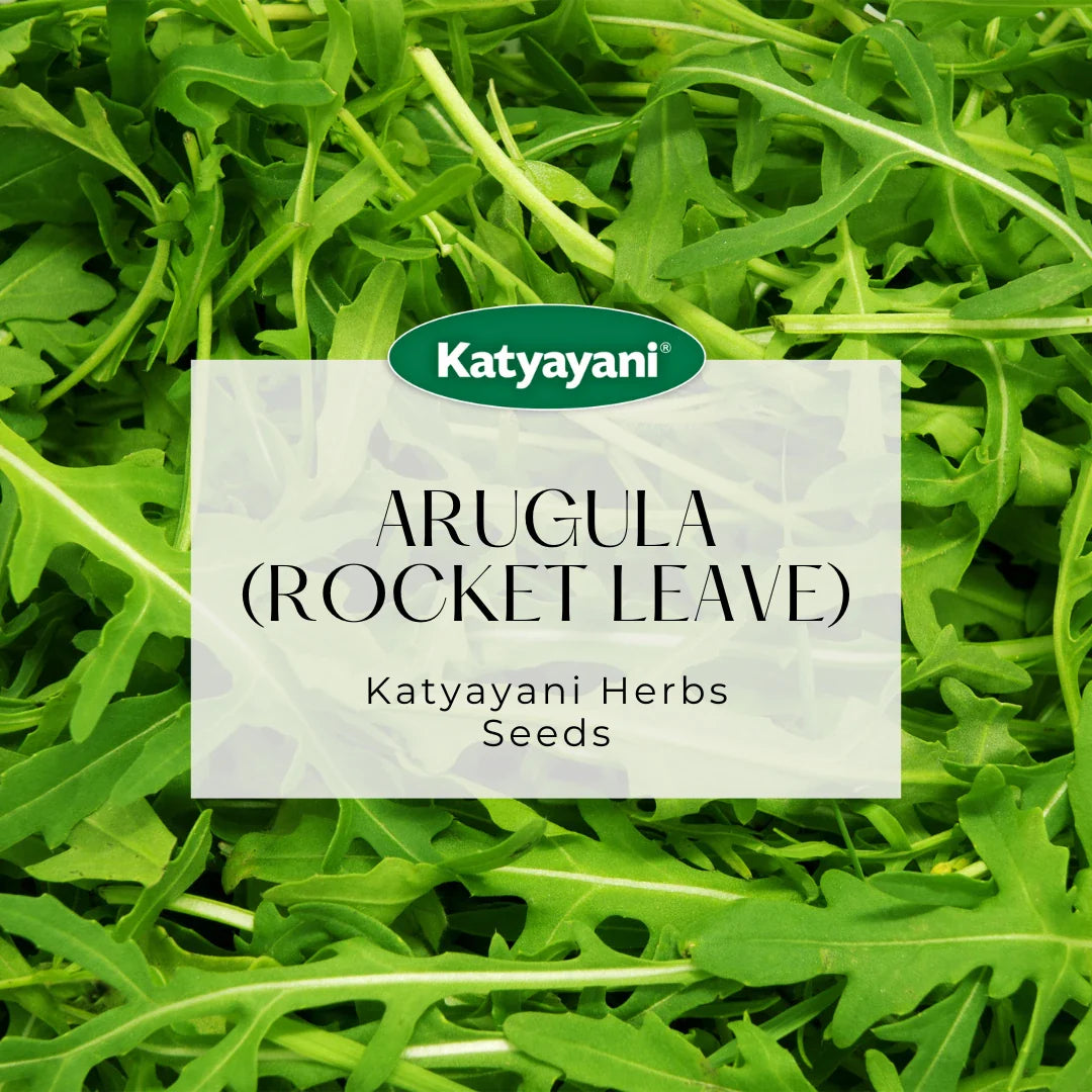 GGV Arugula (Rocket leaves) Herb Seeds