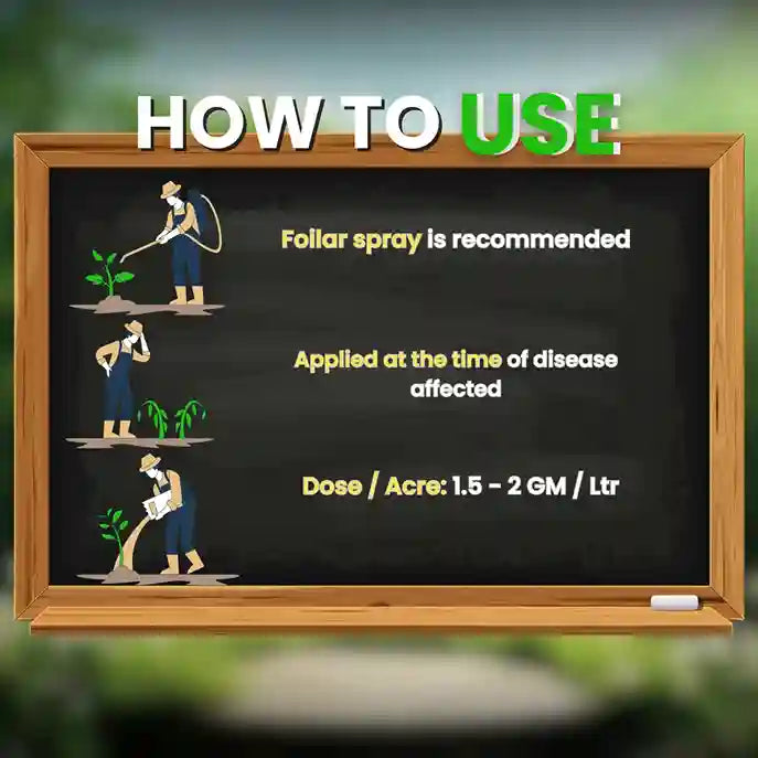 GGV All In 1 Organic Fungicide for Plants – Broad-Spectrum Disease Control | Rust, Blight, Mildew & Rot Solution