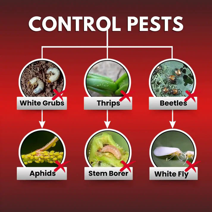 Katyayani Nashak | Fipronil 40% + Imidacloprid 40% WG | Pesticide for White grub Jassids, Thrips