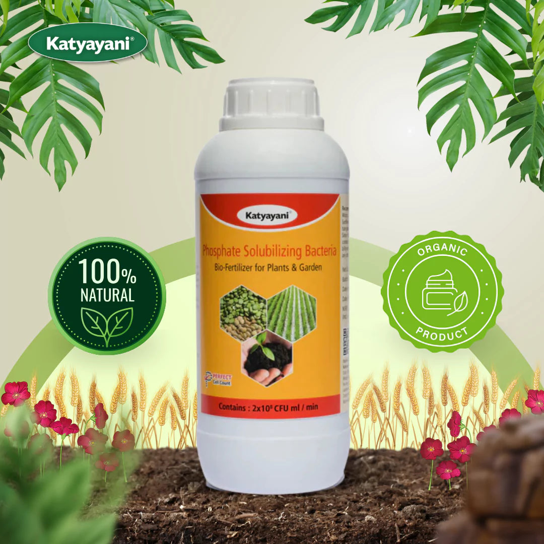 GGV Phosphate Solubilizing Bacteria Bio fertilizer