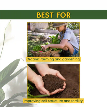 Green garden vibes bio npk consortia fertilizer
Best quality bio npk consortia fertilizer