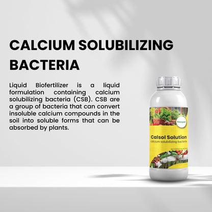 GGV Calcium Solubilizing Bacteria Bio Fertiliser Green Garden Vibes Canada