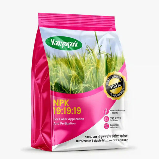 NPK 19-19-19 Water Soluble Fertilizer | Balanced Nutrient Support for Home &amp; Garden Green Garden Vibes Canada