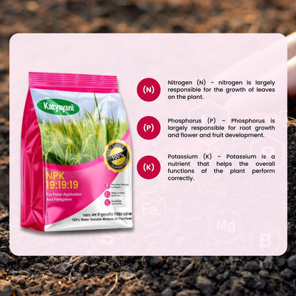 NPK 19-19-19 Water Soluble Fertilizer | Balanced Nutrient Support for Home &amp; Garden Green Garden Vibes Canada