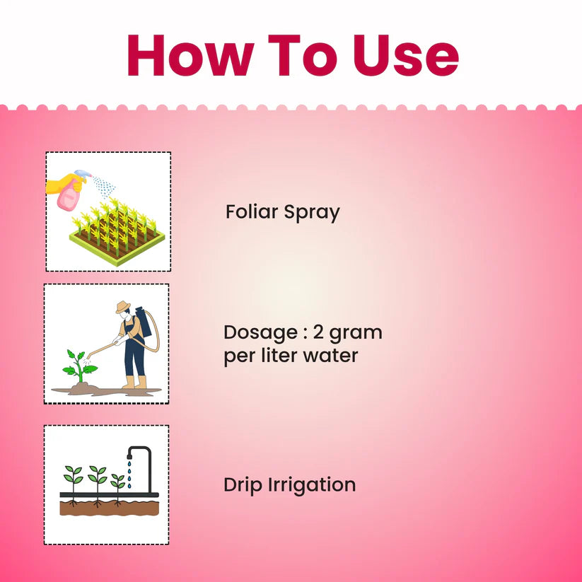 GGV fertiliser NPK 19 19 19 100%