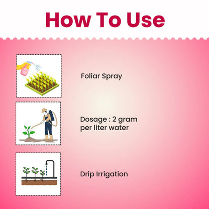 GGV fertiliser NPK 19 19 19 100%