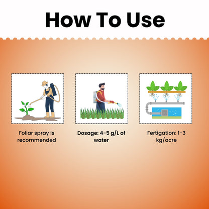 GGV Katyayani NPK 13 00 45 Potassium Nitrate Water Soluble Fertilizer