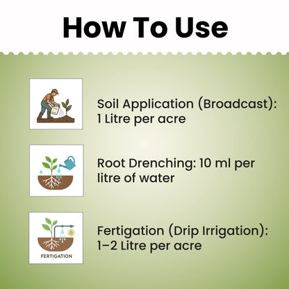 GGV SILICA + | SILICA SOLUBILIZING BACTERIA | LIQUID BIOFERTILIZER