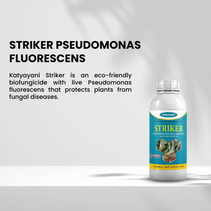 Katyayani Pseudomonas Fluorescens Bio Fungicide – Organic Disease Control for Plants | Root Rot, Wilt & Blight Solution