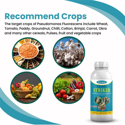 Katyayani Pseudomonas Fluorescens Bio Fungicide – Organic Disease Control for Plants | Root Rot, Wilt & Blight Solution