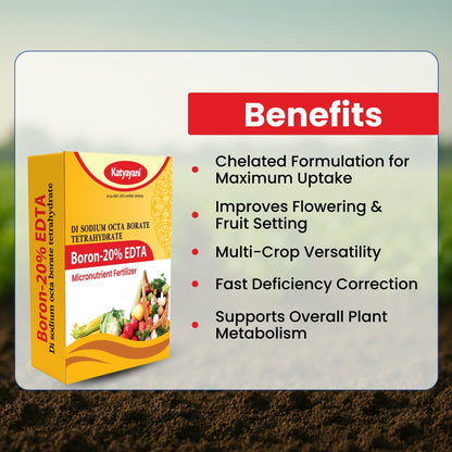 GGV Boron 20% EDTA | Micronutrient Fertilizer Green Garden Vibes