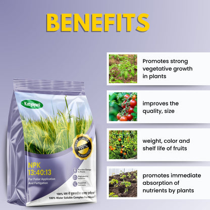 GGV Katyayani NPK 13-40-13 Fertilizer for Crop Growth | 100% Water Soluble Fertilizer