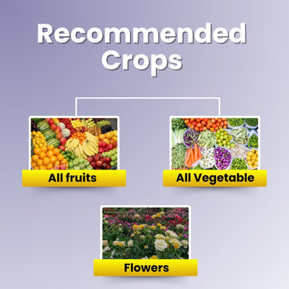 GGV Katyayani NPK 13-40-13 Fertilizer for Crop Growth | 100% Water Soluble Fertilizer