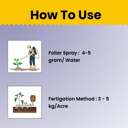 GGV Katyayani NPK 13-40-13 Fertilizer for Crop Growth | 100% Water Soluble Fertilizer