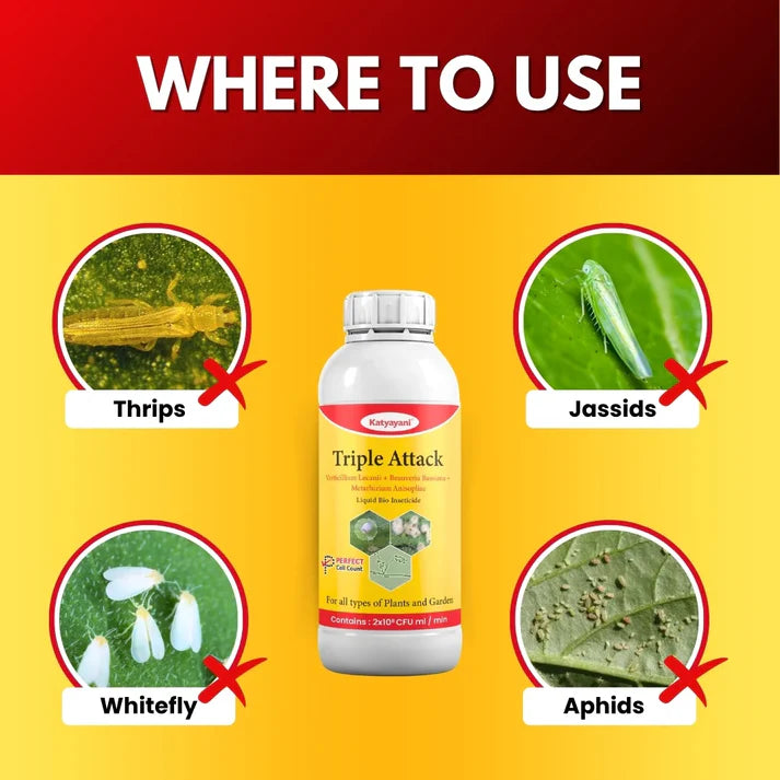 Katyayani Triple Attack – Organic Biological Insecticide | Liquid Fungal Pest Control | Non-Toxic