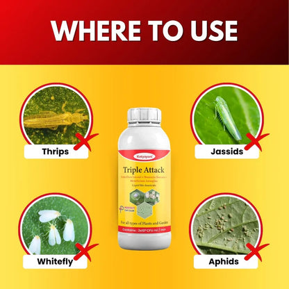 Katyayani Triple Attack – Organic Biological Insecticide | Liquid Fungal Pest Control | Non-Toxic