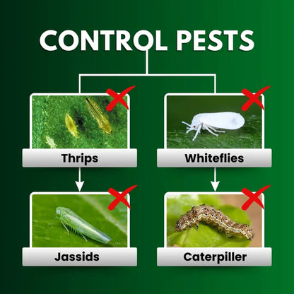 KATYAYANI TRIPLE ATTACK POWDER | VERTICILLIUM LECANII + BEAUVERIA BASSIANA + METARHIZIUM ANISOPLIAE | BIO PESTICIDE