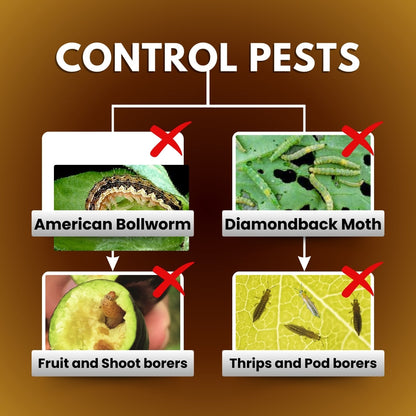 GGV Spinosad 45 % sc - SPINO45 (Fast-Acting Natural Insecticide for Crops & Gardens)