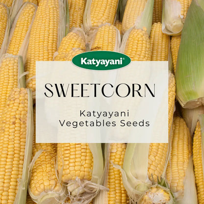 Sweet Corn Vegetable Seeds for Home Gardening in Canada | Organic & High Yield | Spring Planting Essential