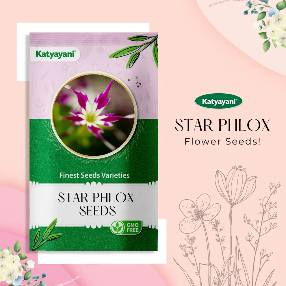 GGV Star Phlox Mix seed for Home Gardening in Canada | Organic & High Yield | Spring Planting Essential