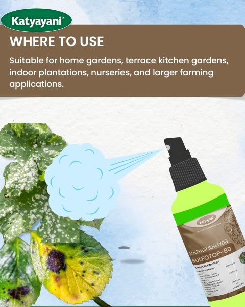 GGV Katyayani Sulfotop 80 Super Saver Pack – Buy 1, Get 2 Free | Sulphur 80% WDG for Fungus &amp; Mite Control Green Garden Vibes Canada