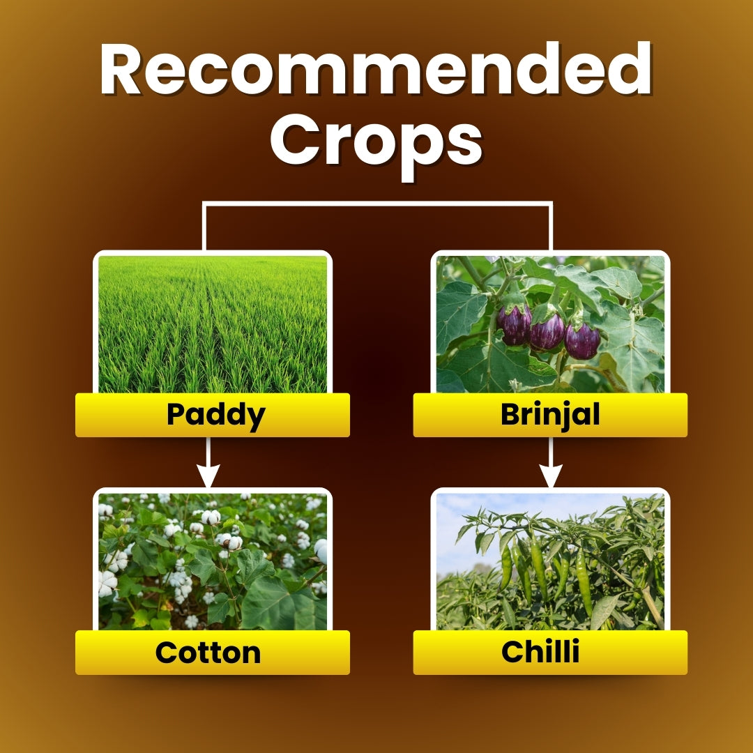 GGV Spinosad 45 % sc - SPINO45 (Fast-Acting Natural Insecticide for Crops & Gardens)