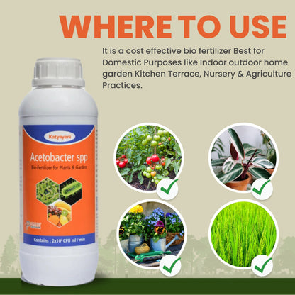 GGV Acetobacter Nitrogen Fixing -Bio fertilizer